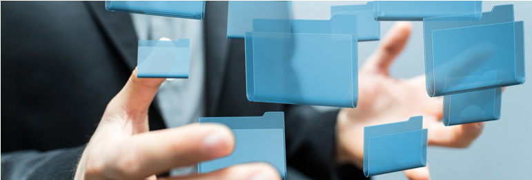 Document management system for CA